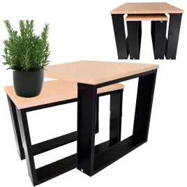 stolik-kawowy-lehmann-exclusive-zestaw-2-stolikow-dab-naturalny-50x50