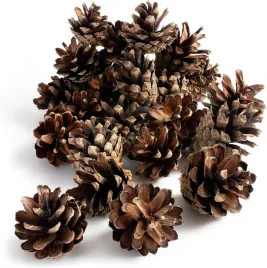 naturalne-szyszki-sosnowe-250g-ok-50-szt-dekoracja-boze-narodzenie-diy
