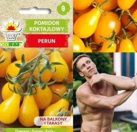 nasiona-toraf-pomidor-koktajlowy-perun-05-g