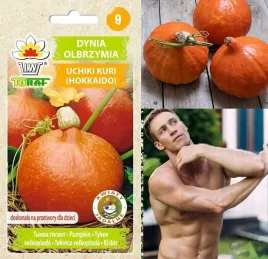 dynia-olbrzymia-uchiki-kuri-japonska-nasiona-3g