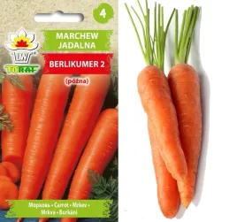 marchew-berlikumer-perfekcja-pozna-nasiona-warzyw