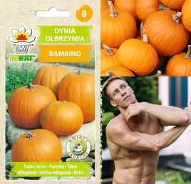 dynia-olbrzymia-bambino-nasiona-do-50-kg