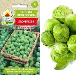 kapusta-brukselska-groninger-brukselka-nasiona