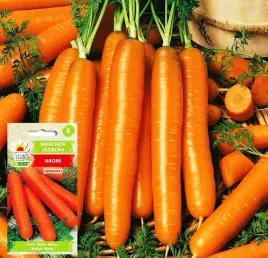 marchew-bardzo-wczesna-naomi-nasiona-5g