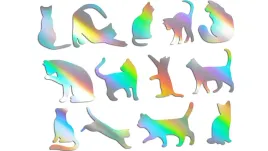 wycinane-naklejki-koty-kot-13-sztuk-holograficzne
