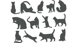 wycinane-naklejki-koty-kot-13-sztuk-grafitowe