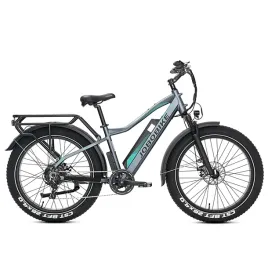 rower-elektryczny-jobobike-robin-pro-szary