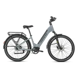 rower-elektryczny-jobobike-luxe-srebrno-szary