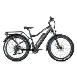 rower-elektryczny-jobobike-robin-pro-czarno-zloty