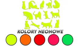 wycinane-naklejki-koty-kot-13-sztuk-kolory-neonowe