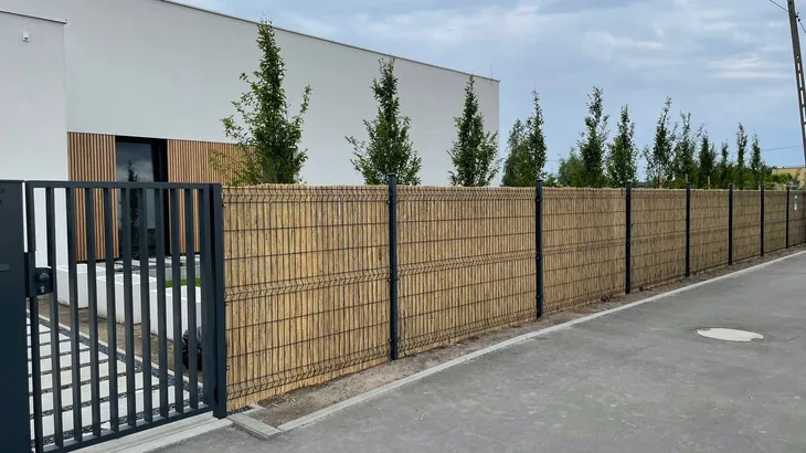 Mata trzcinowa 160 x 600 cm Promocja !!!