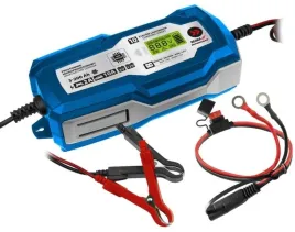 dedra-prostownik-mikroprocesorowy-ladowarka-10a-6-12v-3-200ah-depm022lfp