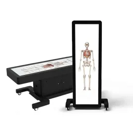 wirtualny-stol-anatomiczny-3d-88