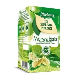 zielnik-polski-morwa-biala-20tb-40g