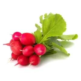 rzodkiewka-peczek-wlochy-1szt