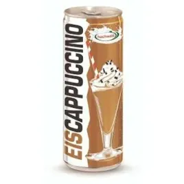 eiscappuccino-250ml-puszka-hochwald-dose
