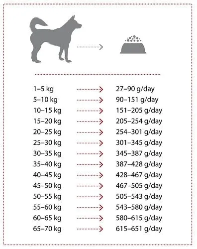 nature-s-protection-extra-salmon-2kg-wiek-zwierzecia-psy-dorosle