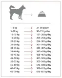 nature-s-protection-extra-salmon-2kg-wiek-zwierzecia-psy-dorosle
