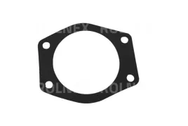 uszczelka-pompy-wody-mf-morpak-or-490484
