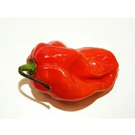 papryka-ostra-carolina-reaper-holandia-50g