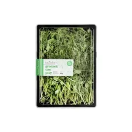 mikroliscie-groszek-czepny-polska-50g-baziolka