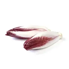 cykoria-czerwona-polska-250g