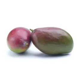 mango-rte-brazylia-2szt