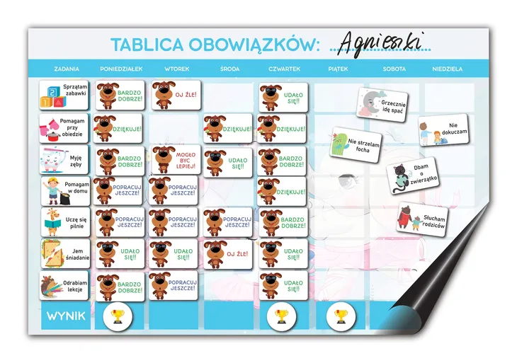 Motywacyjna tablica magnetyczna na lodówkę, tablica obowiązków BALETNICE