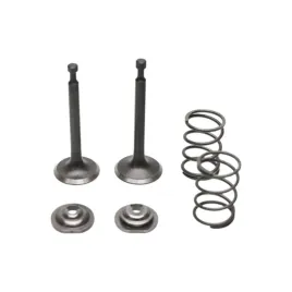 zestaw-zaworow-do-honda-gx160-gxv160-gx200-zongshen-168f-170f