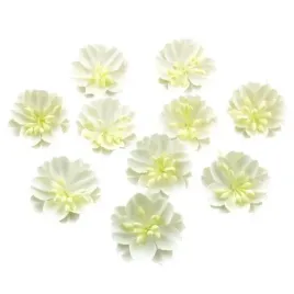 kwiaty-papierowe-biale-30szt-zestaw-a