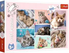 puzzle-trefl-w-kocim-swiecie-100-el-koty-kotki