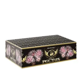 fajerwerki-na-pokaz-weselny-bateria-pectus-txb035