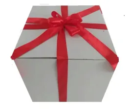 pudlo-dzien-kobiet-walentynki-60x60cm-na-balon-hel
