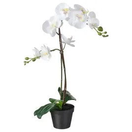 ikea-fejka-sztuczna-roslina-doniczkowa-orchidea-bialy-12-cm