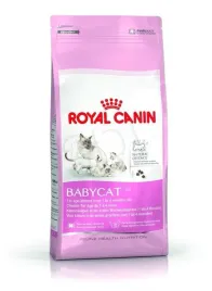 karma-royal-canin-mother-and-babycat-4-kg