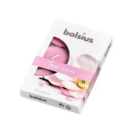 bolsius-6szt-magnolia-teal-swieca-zapach-340