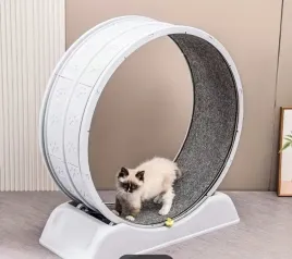 bieznia-z-drapakiem-i-kolowrotkiem-dla-kota