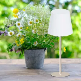 sanico-goldlux-lampka-stolowa-led-lucia-usb-c-bezowa-rgb-ip44-336378