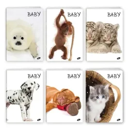 zeszyt-a5-32k-linia-baby-pakiet-20-sztuk