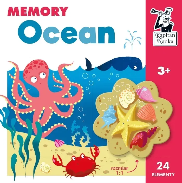 gra-memory-ocean-kapitan-nauka-stan-nowy