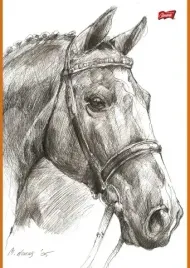 szkicownik-a4-20-kartek-pakiet-10-sztuk