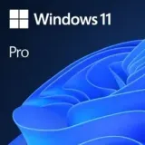 windows-professional-11-64-bit-all-lang-product-key