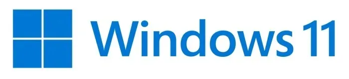 ms-windows-11-professional-64bit-polish-1pk-dvd-oem-stan-nowy