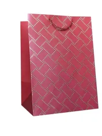 torebki-ozdobne-tloczone-jp931a-12-sztuk