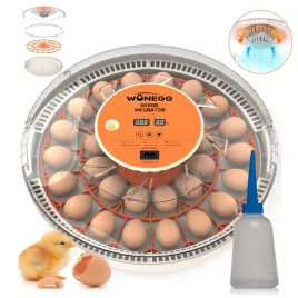 inkubator-do-30-jaj-klujnik-wylegarka-automatyczny-z-dozownikiem-wody