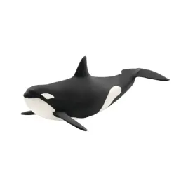orka-oceaniczna-slh14807