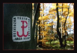 kolekcjonerska-karta-przyrody-beskidzka-trasa-kurierska-jaga-kora