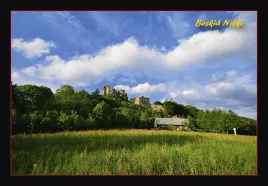 kolekcjonerska-karta-przyrody-zamek-kamieniec