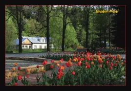 kolekcjonerska-karta-przyrody-rymanow-zdroj