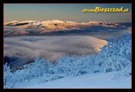 kolekcjonerska-karta-przyrody-bieszczady-1